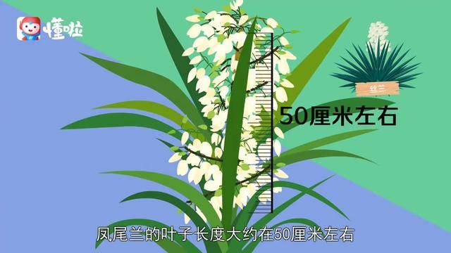 阿贾克斯青年军惊艳,欧冠淘汰赛淘汰皇马